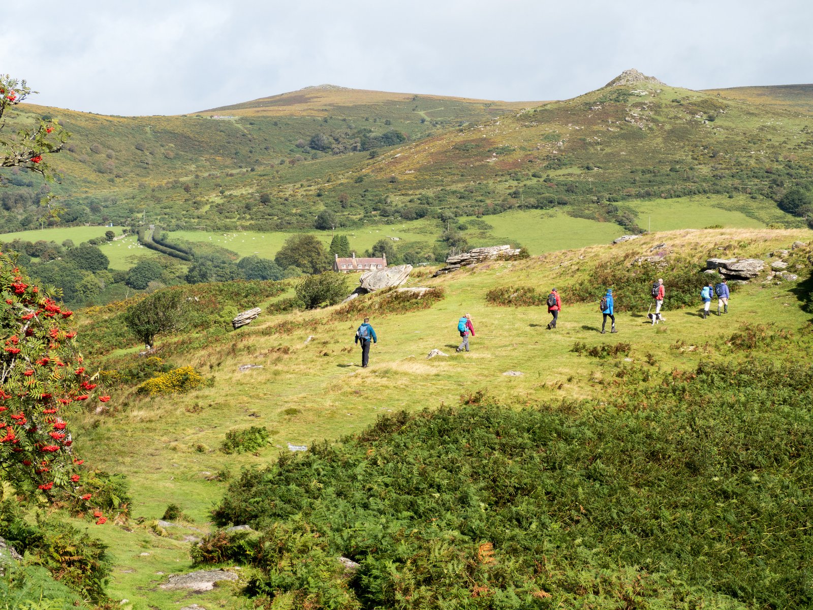 Rock and Moor - Hill and Moorland Skills Development Course Devon