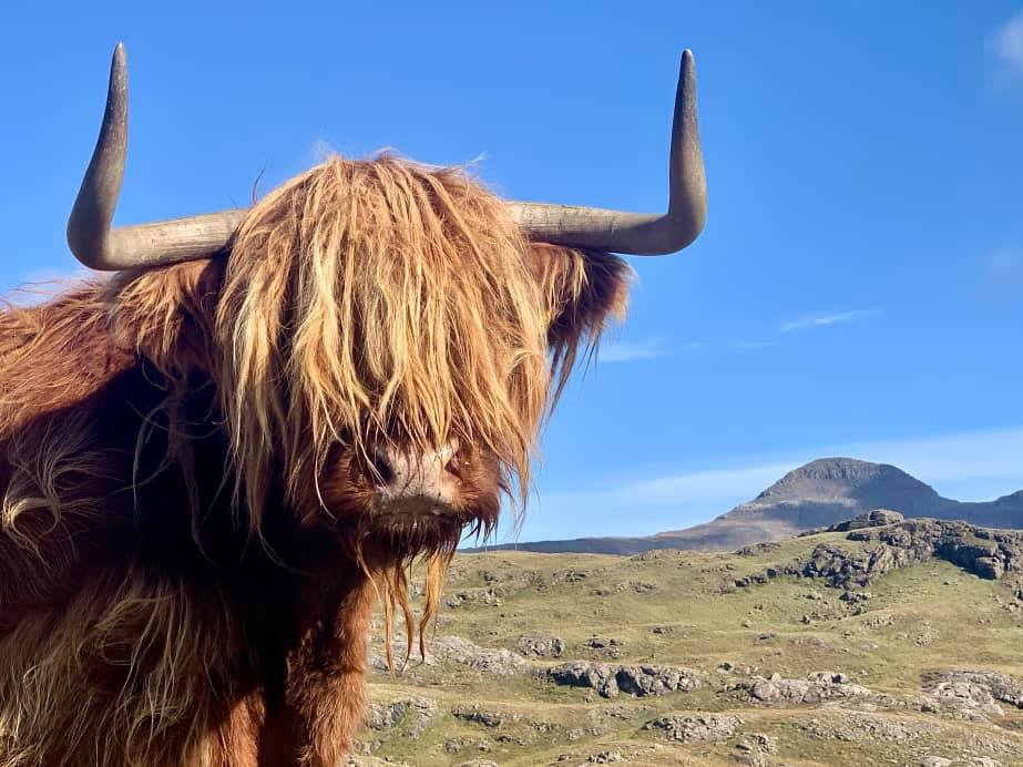 Rock and Moor - Scottish Highlands Hiking and Mountaineering